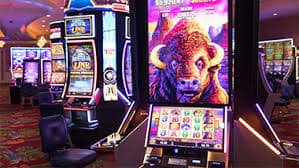 bet595